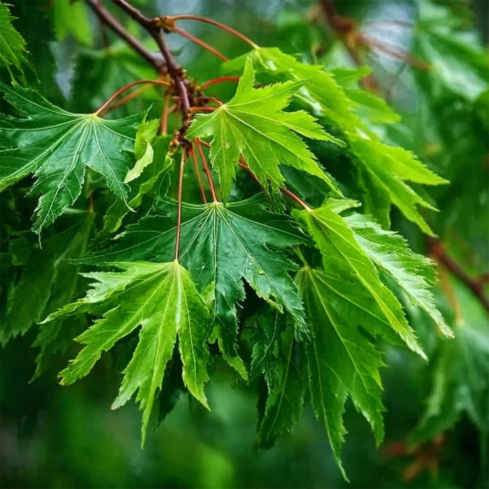  фото.