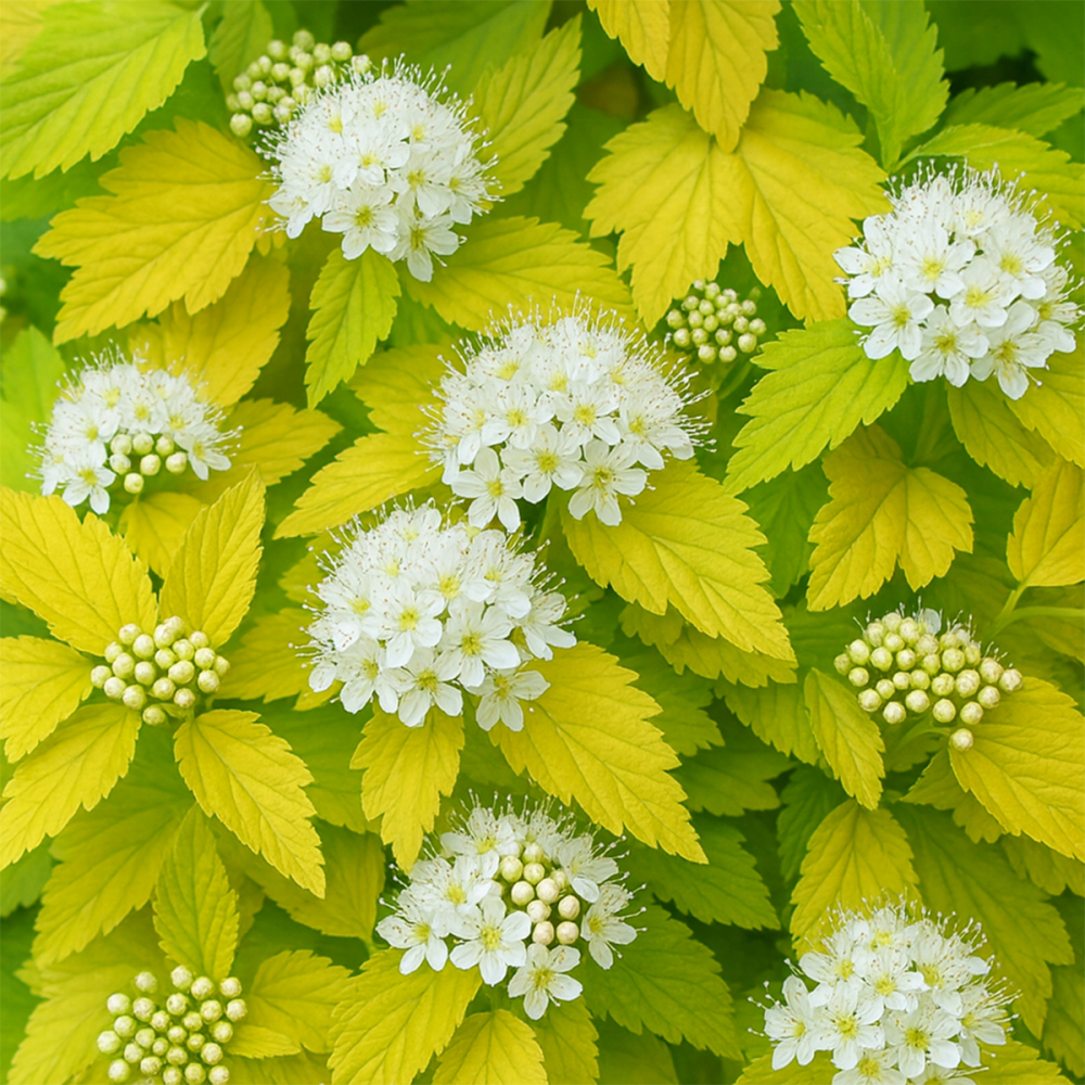  фото.