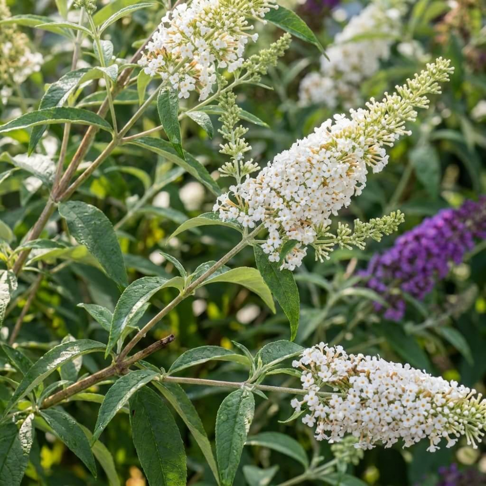  фото.