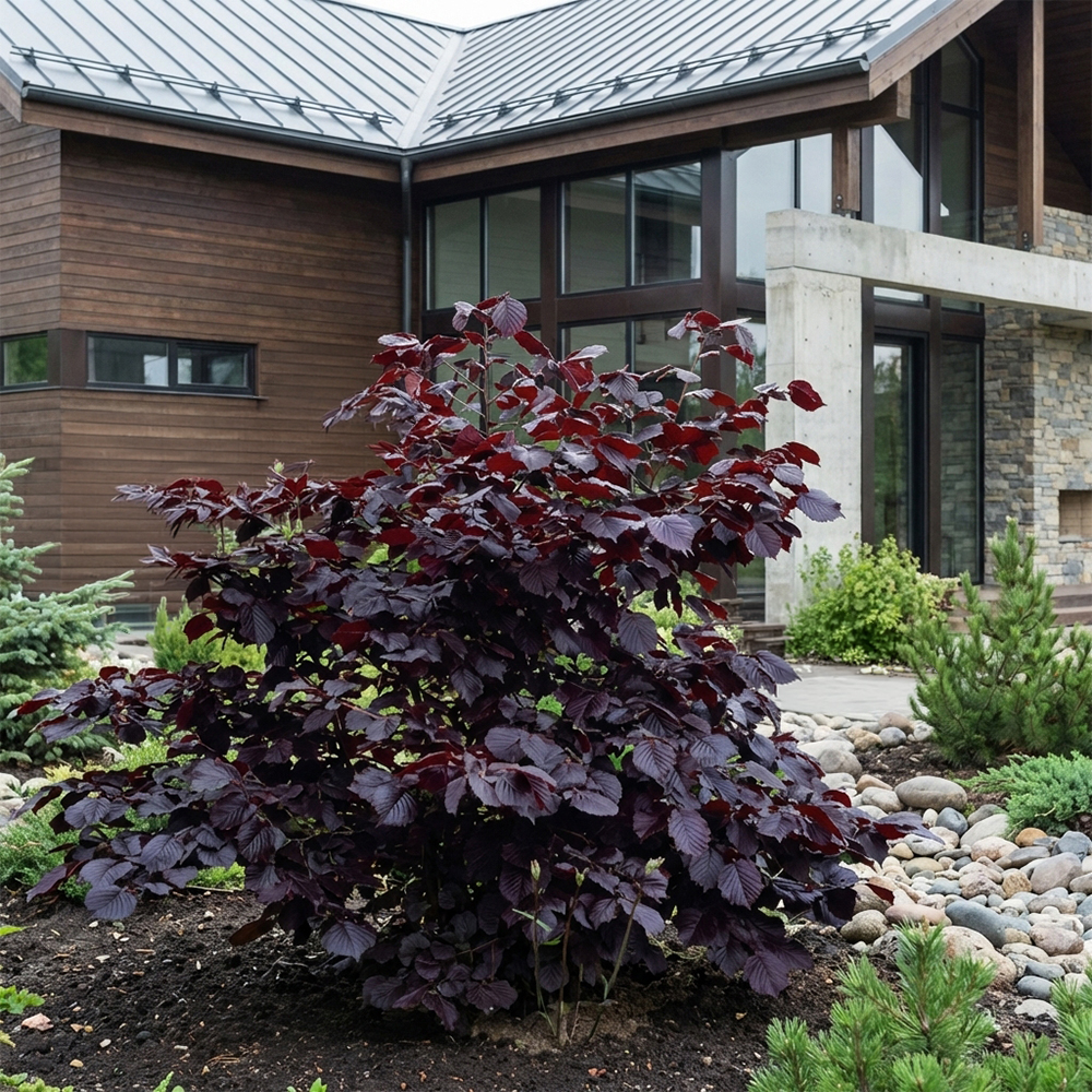  фото.