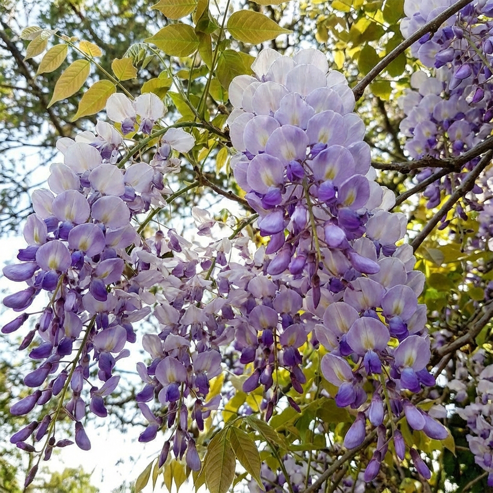  фото.